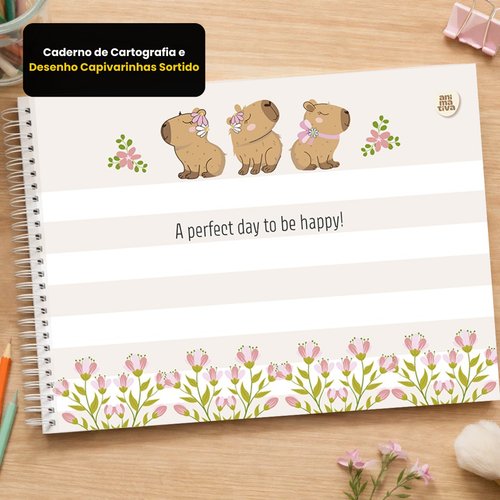 km95qreu1jn-lg.jpg Caderno de Cartografia e Desenho Capivarinhas – Sortido